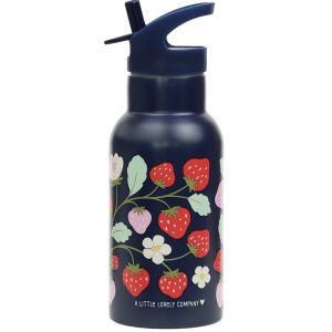 DBSSST69-LR-2-Stainless-steel-drink-bottle-Strawberries