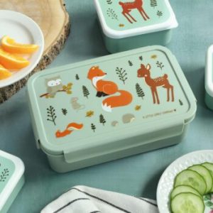 BBFFMI66-LR-4-Bento-lunch-box-Forest-friends-350×350