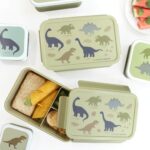 SBDIGR58-LR-4-Bento-lunch-box-Dinosaurs-150×150